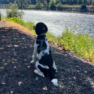 Meet your Posher, Gwen